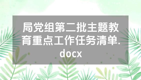 局党组第二批主题教育重点工作任务清单.docx