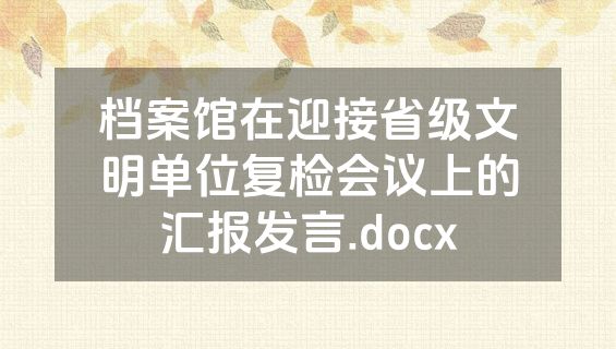 档案馆在迎接省级文明单位复检会议上的汇报发言.docx