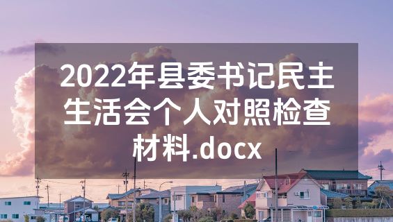 2022年县委书记民主生活会个人对照检查材料.docx