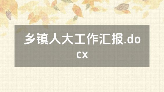 乡镇人大工作汇报.docx