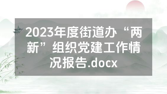 2023年度街道办“两新”组织党建工作情况报告.docx