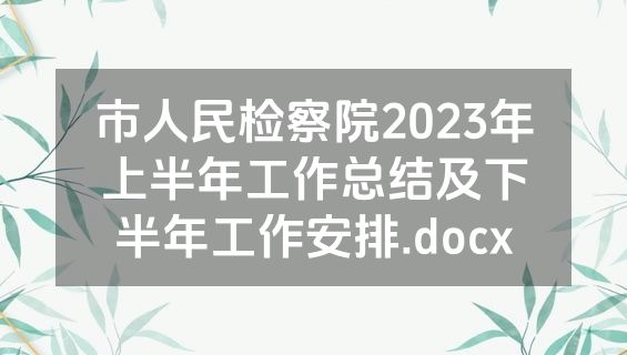 市人民检察院2023年上半年工作总结及下半年工作安排.docx