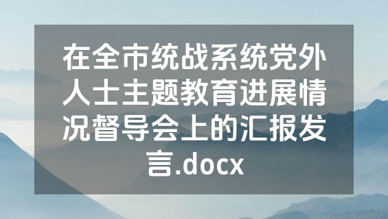 在全市统战系统党外人士主题教育进展情况督导会上的汇报发言.docx