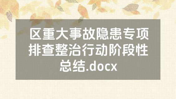 区重大事故隐患专项排查整治行动阶段性总结.docx