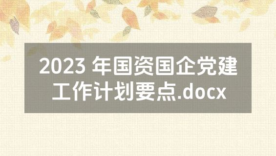 2023 年国资国企党建工作计划要点.docx