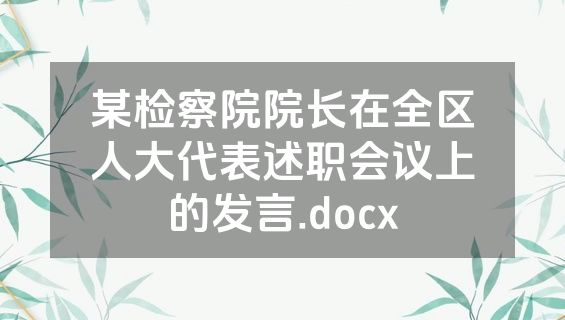 某检察院院长在全区人大代表述职会议上的发言.docx