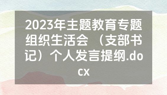 2023年主题教育专题组织生活会 （支部书记）个人发言提纲.docx
