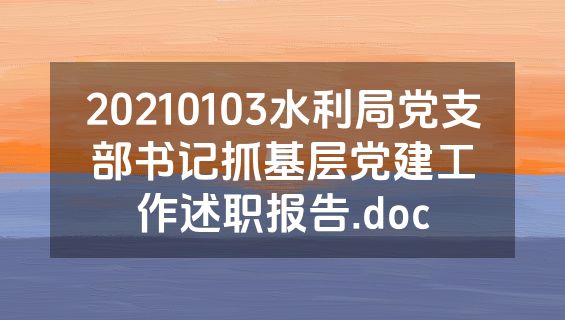 20210103水利局党支部书记抓基层党建工作述职报告.doc