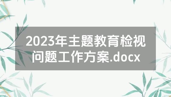 2023年主题教育检视问题工作方案.docx