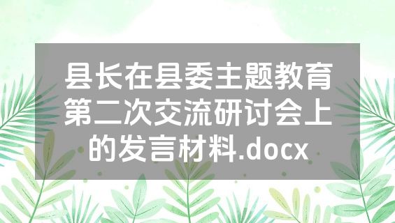 县长在县委主题教育第二次交流研讨会上的发言材料.docx