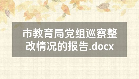市教育局党组巡察整改情况的报告.docx