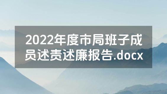 2022年度市局班子成员述责述廉报告.docx