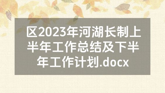 区2023年河湖长制上半年工作总结及下半年工作计划.docx
