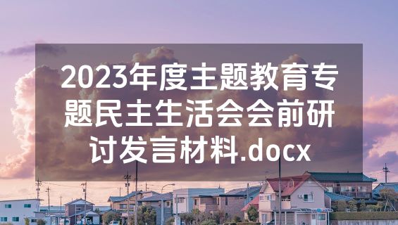 2023年度主题教育专题民主生活会会前研讨发言材料.docx
