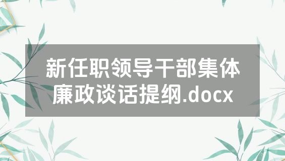 新任职领导干部集体廉政谈话提纲.docx
