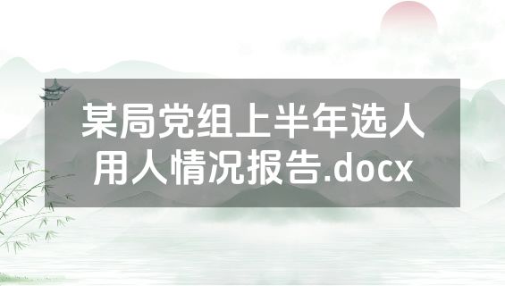 某局党组上半年选人用人情况报告.docx