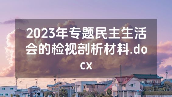 2023年专题民主生活会的检视剖析材料.docx