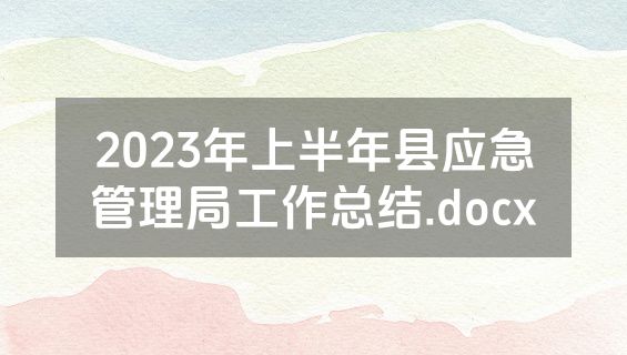2023年上半年县应急管理局工作总结.docx