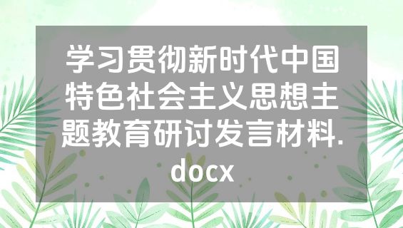 学习贯彻新时代中国特色社会主义思想主题教育研讨发言材料.docx