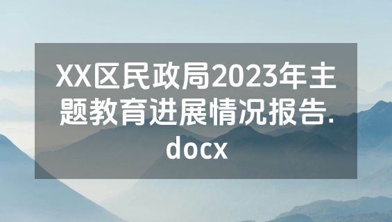 XX区民政局2023年主题教育进展情况报告.docx