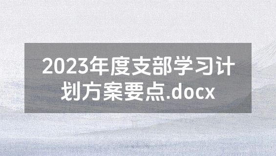 2023年度支部学习计划方案要点.docx
