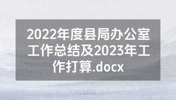 2022年度县局办公室工作总结及2023年工作打算.docx