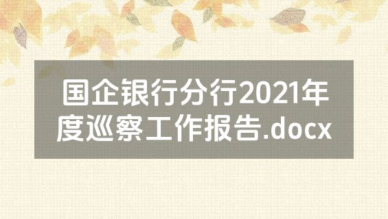 国企银行分行2021年度巡察工作报告.docx