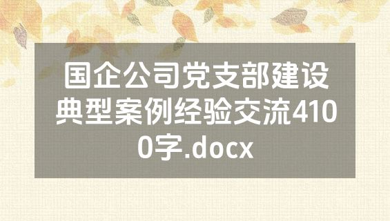 国企公司党支部建设典型案例经验交流4100字.docx