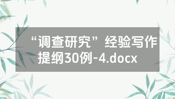 “调查研究”经验写作提纲30例-4.docx