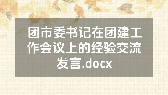 团市委书记在团建工作会议上的经验交流发言.docx