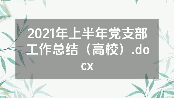 2021年上半年党支部工作总结（高校）.docx