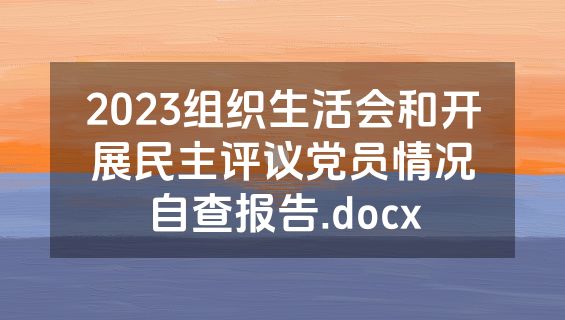 2023组织生活会和开展民主评议党员情况自查报告.docx