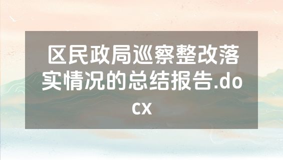 区民政局巡察整改落实情况的总结报告.docx