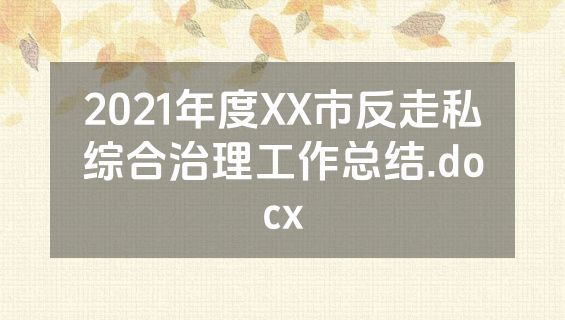 2021年度XX市反走私综合治理工作总结.docx