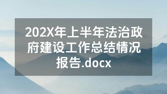 202X年上半年法治政府建设工作总结情况报告.docx
