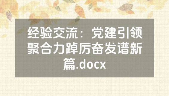 经验交流：党建引领聚合力踔厉奋发谱新篇.docx