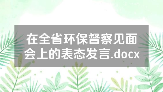 在全省环保督察见面会上的表态发言.docx