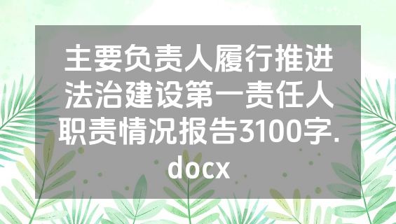 主要负责人履行推进法治建设第一责任人职责情况报告3100字.docx