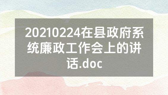 20210224在县政府系统廉政工作会上的讲话.doc
