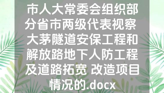 市人大常委会组织部分省市两级代表视察 大茅隧道安保工程和解放路地下人防工程及道路拓宽 改造项目情况的.docx