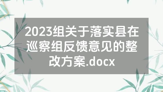 2023组关于落实县在巡察组反馈意见的整改方案.docx