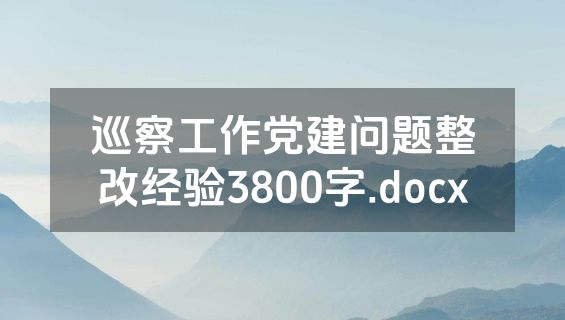 巡察工作党建问题整改经验3800字.docx