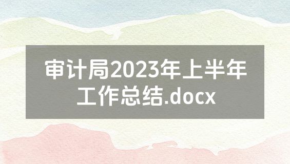 审计局2023年上半年工作总结.docx