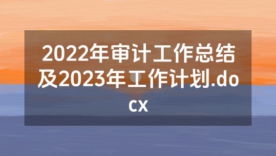 2022年审计工作总结及2023年工作计划.docx