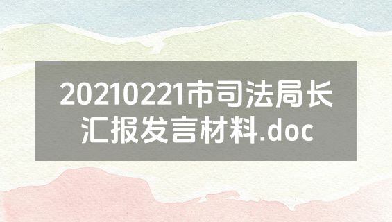 20210221市司法局长汇报发言材料.doc