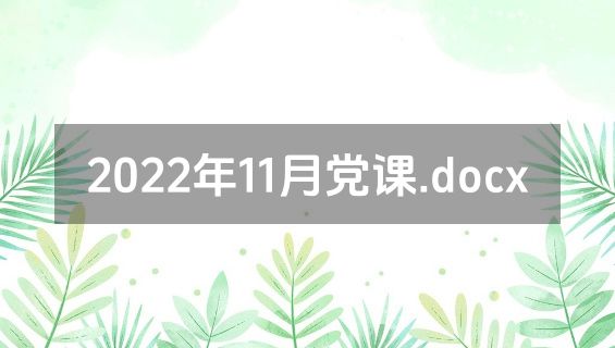 2022年11月党课.docx