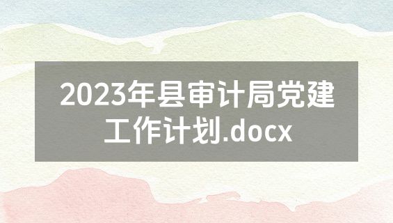 2023年县审计局党建工作计划.docx