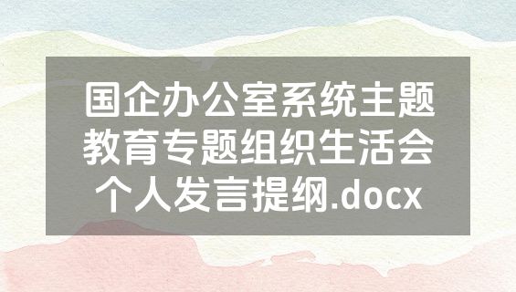国企办公室系统主题教育专题组织生活会个人发言提纲.docx