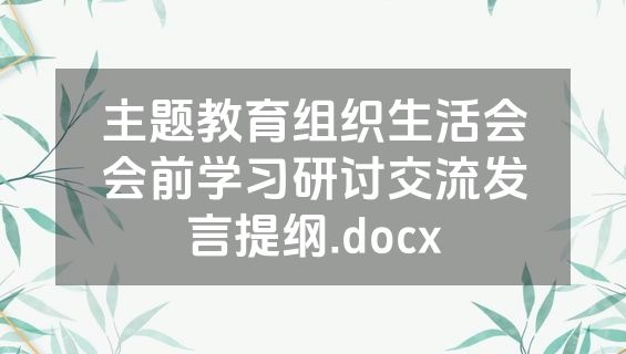 主题教育组织生活会会前学习研讨交流发言提纲.docx