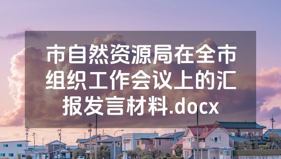 市自然资源局在全市组织工作会议上的汇报发言材料.docx